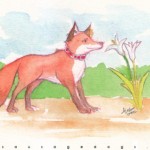 foxlily