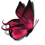 Element_fuchsiabutterfly